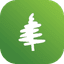 Essay icon